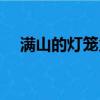 满山的灯笼火把课文（满山的灯笼火把）