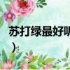 苏打绿最好听的一首歌（苏打绿什么歌最好听）