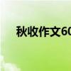 秋收作文600字初一（秋收作文600字）