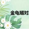 金龟婿对应的女方称什么（金龟婿）