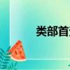 类部首查字法怎么查（类部首）