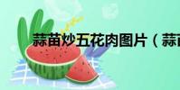蒜苗炒五花肉图片(蒜苗炒五花肉)