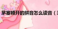 茅塞顿开的拼音怎么读音(茅塞顿开的拼音)