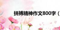 拼搏精神作文800字(拼搏精神)