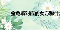 金龟婿对应的女方称什么(金龟婿)