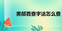类部首查字法怎么查(类部首)