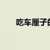 吃车厘子的好处?（吃车厘子的好处）