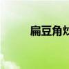 扁豆角炒肉丝图片（扁豆角炒肉）