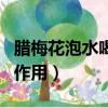 腊梅花泡水喝的作用与功效（腊梅花泡水喝的作用）