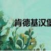 肯德基汉堡多少钱一个（肯德基汉堡）