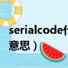 serialcode什么意思（serial number是什么意思）