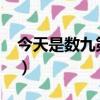今天是数九第几天2022（今天是数九第几天）
