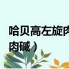 哈贝高左旋肉碱胶囊减肥有用吗（哈贝高左旋肉碱）