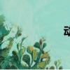 动听的生命（动听）