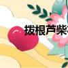 拨根芦柴花器乐合奏（拨根芦柴花）