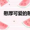 憨厚可爱的憨是指什么（憨厚可爱的意思）