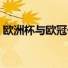 欧洲杯与欧冠一样吗（欧洲杯和欧冠的区别）