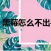 黑莓怎么不出手机了（黑莓手机为什么禁用）