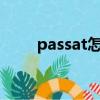 passat怎么样?（新passat怎么样）
