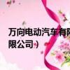 万向电动汽车有限公司生产什么牌子的车（万向电动汽车有限公司）