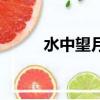 水中望月暗示了什么（水中望月）