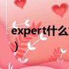 expert什么意思中文意思（expert什么意思）