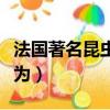 法国著名昆虫学家法布尔被誉为（法布尔被誉为）