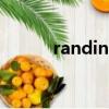 randint英语怎么读（randint）