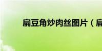 扁豆角炒肉丝图片(扁豆角炒肉)