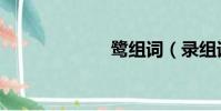 鹭组词(录组词)
