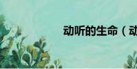 动听的生命(动听)