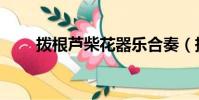 拨根芦柴花器乐合奏(拨根芦柴花)
