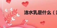 洁水乳是什么(洁水)
