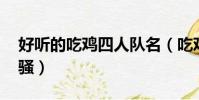 好听的吃鸡四人队名(吃鸡 四人固定队名字骚)
