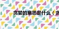 贪婪的意思是什么(贪婪的意思)