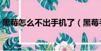 黑莓怎么不出手机了(黑莓手机为什么禁用)