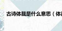 古诗体裁是什么意思(体裁是什么意思)