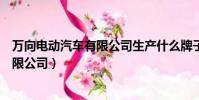 万向电动汽车有限公司生产什么牌子的车(万向电动汽车有限公司)