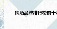 啤酒品牌排行榜前十名(啤酒)