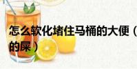怎么软化堵住马桶的大便(怎么软化堵住马桶的屎)