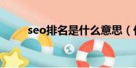 seo排名是什么意思(什么是seo)