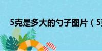 5克是多大的勺子图片(5克是多少勺子)