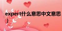 expert什么意思中文意思(expert什么意思)