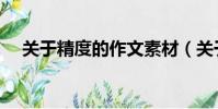 关于精度的作文素材(关于精度的作文)