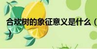 合欢树的象征意义是什么(合欢树的象征意义)