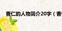 曹仁的人物简介20字(曹仁的人物简介)