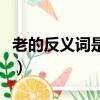 老的反义词是啥问一下（老的反义词是什么呢）