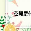 苍蝇是什么意思（苍是什么意思）