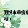 羽悦本草瘦瘦包代理价（羽悦本草瘦瘦包有用吗）