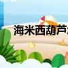 海米西葫芦怎么做（海米西葫芦的做法）